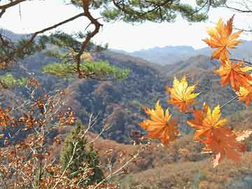 暗兵林川，一场神秘与震撼的阅读之旅